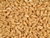 wheat